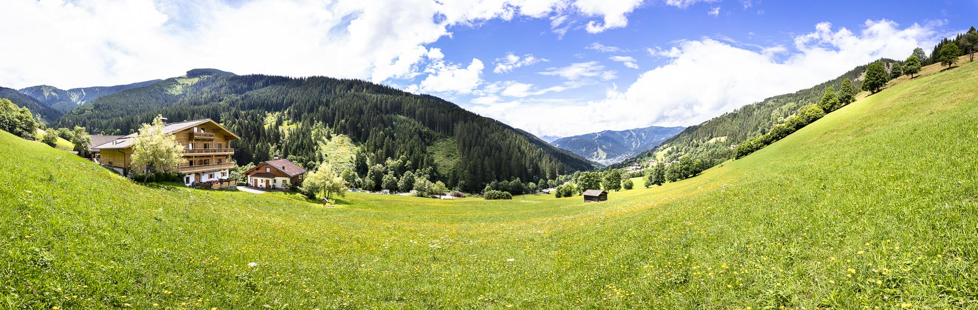 Blick auf den Essbereich mit Obstschale