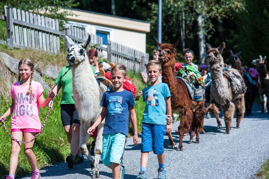 Kinder beim Lamatrekking in Zell am See-Kaprun
