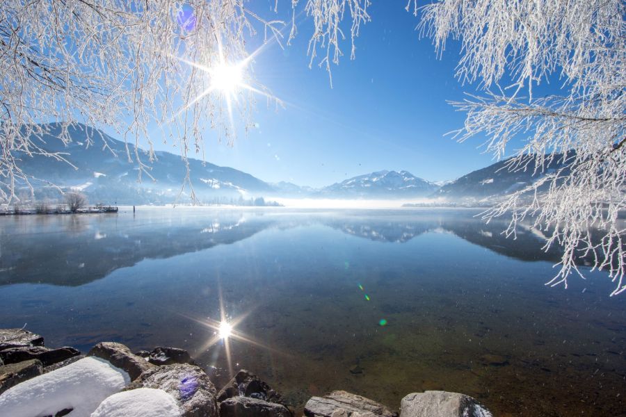 Winterlicher Zeller See mit verschneiten Bäumen und Bergpanorama