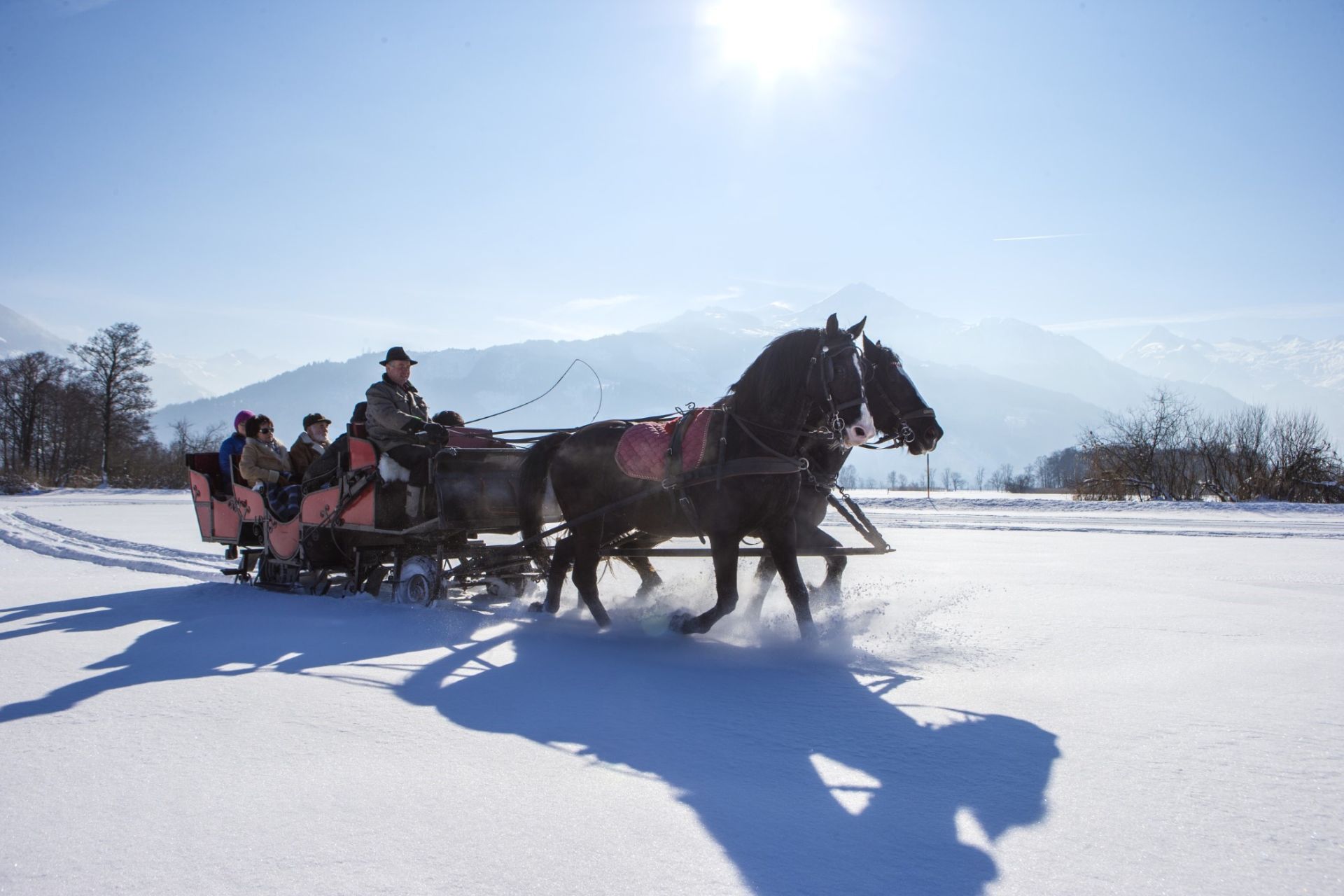 Pferdeschlittenfahrt vor dem Bergpanorama von Zell am See