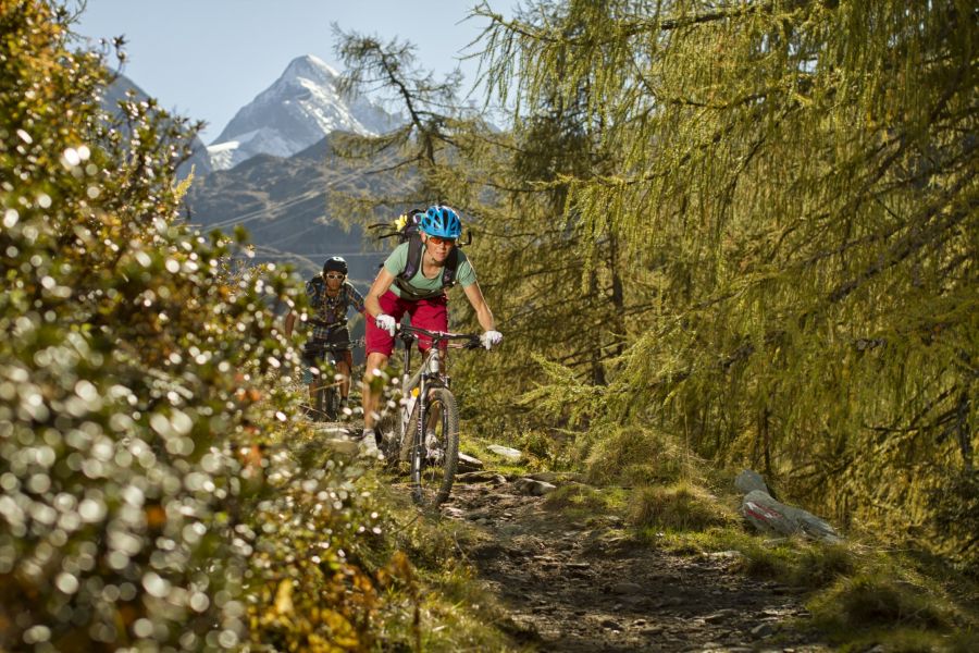 Mountainbiker auf einem Waldweg in der Region Zell am See