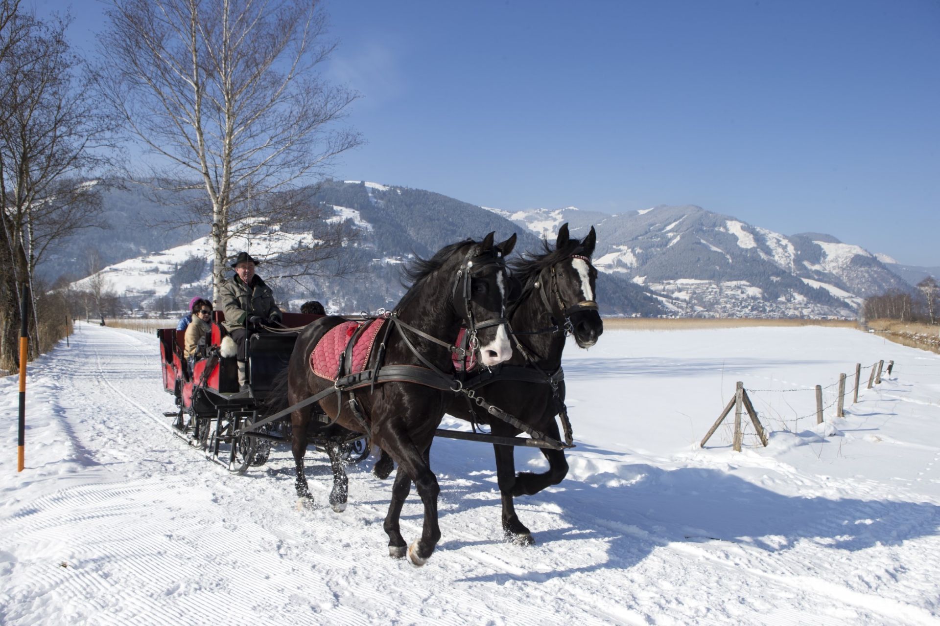 Pferdeschlittenfahrt durch die Winterlandschaft von Zell am See