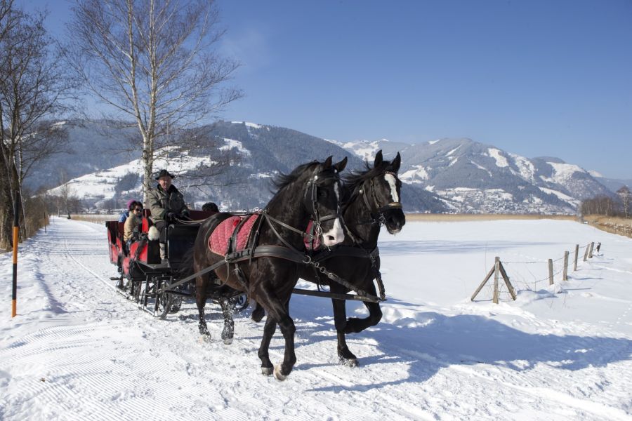 Pferdeschlittenfahrt durch die Winterlandschaft von Zell am See